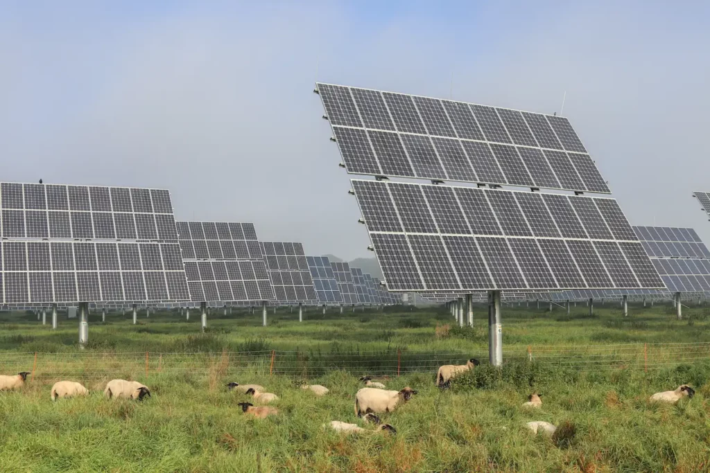 7 Curiosidades de la energia solar