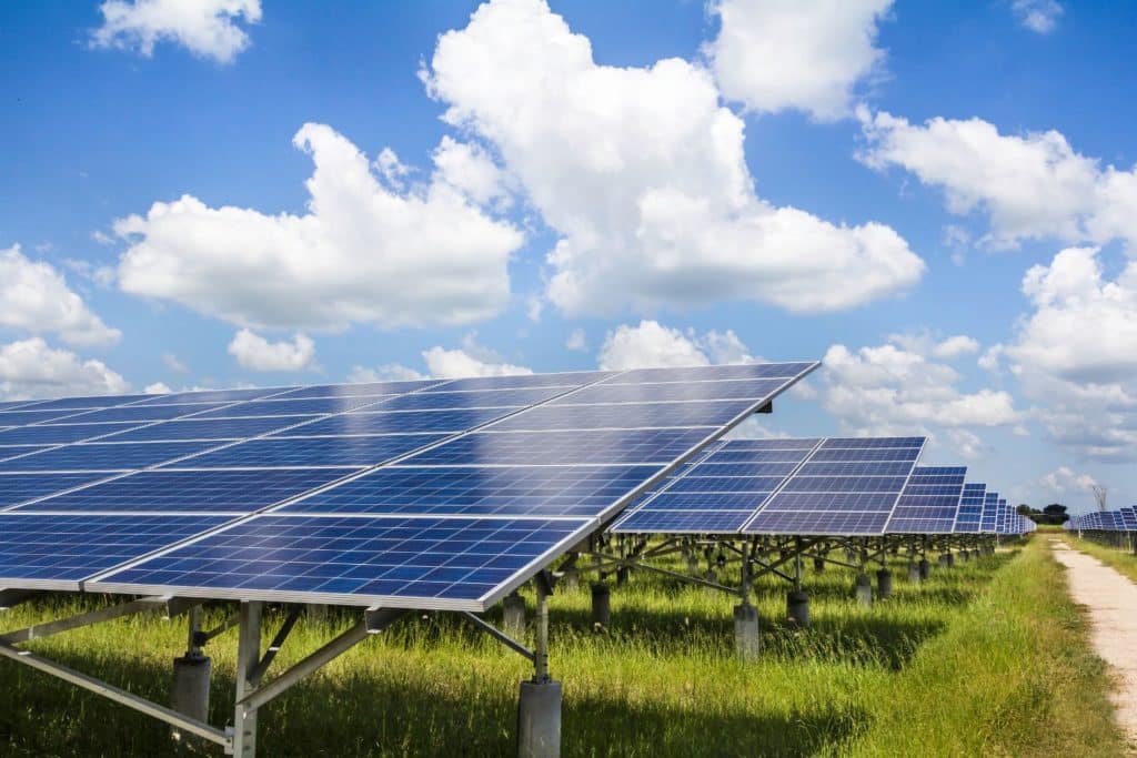 huerto solar 1 1024x683 1 1