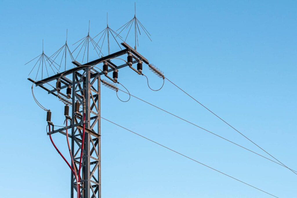 que compania paga mejor los excedentes 1