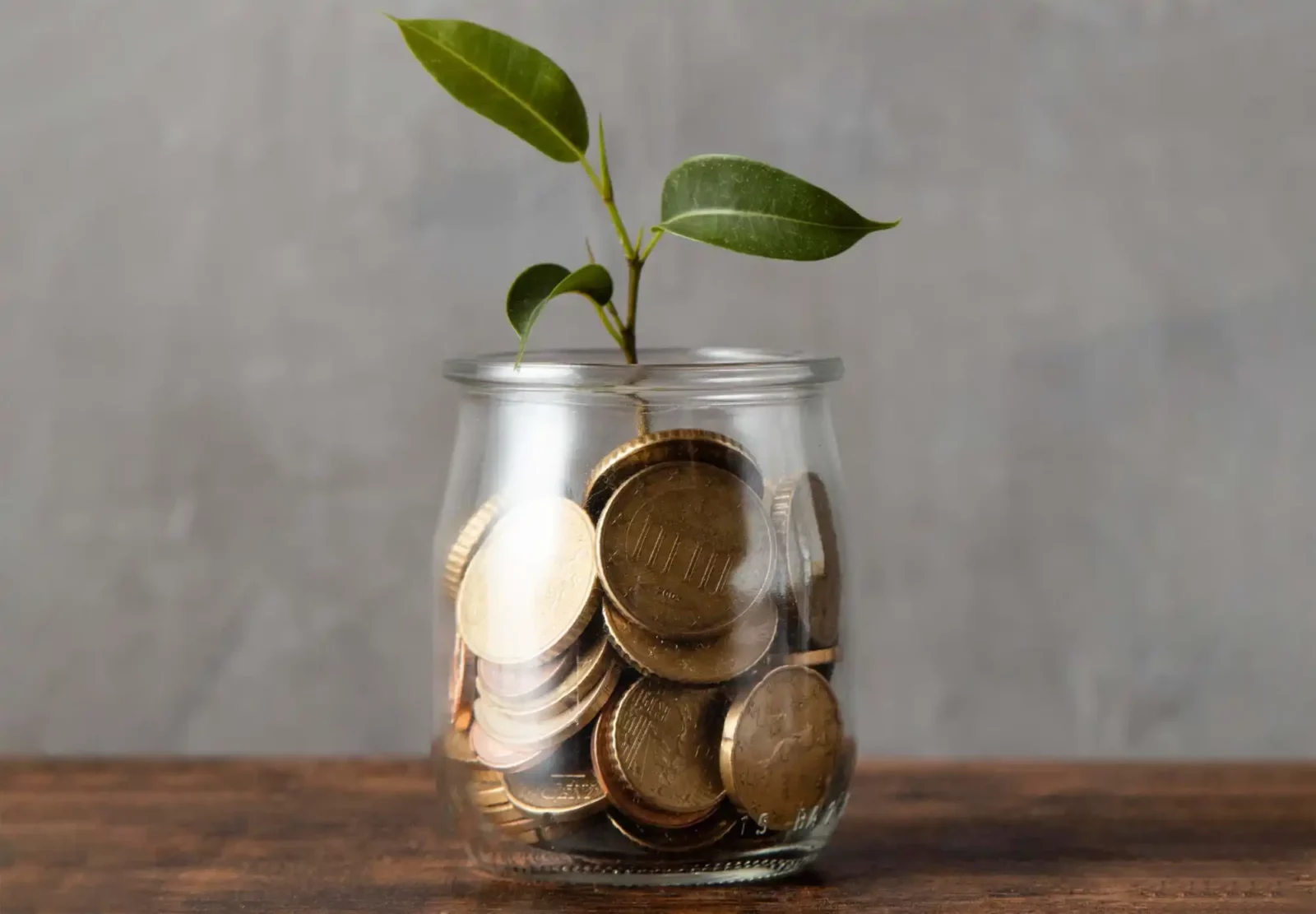 Ahorro absoluto en autoconsumo energético