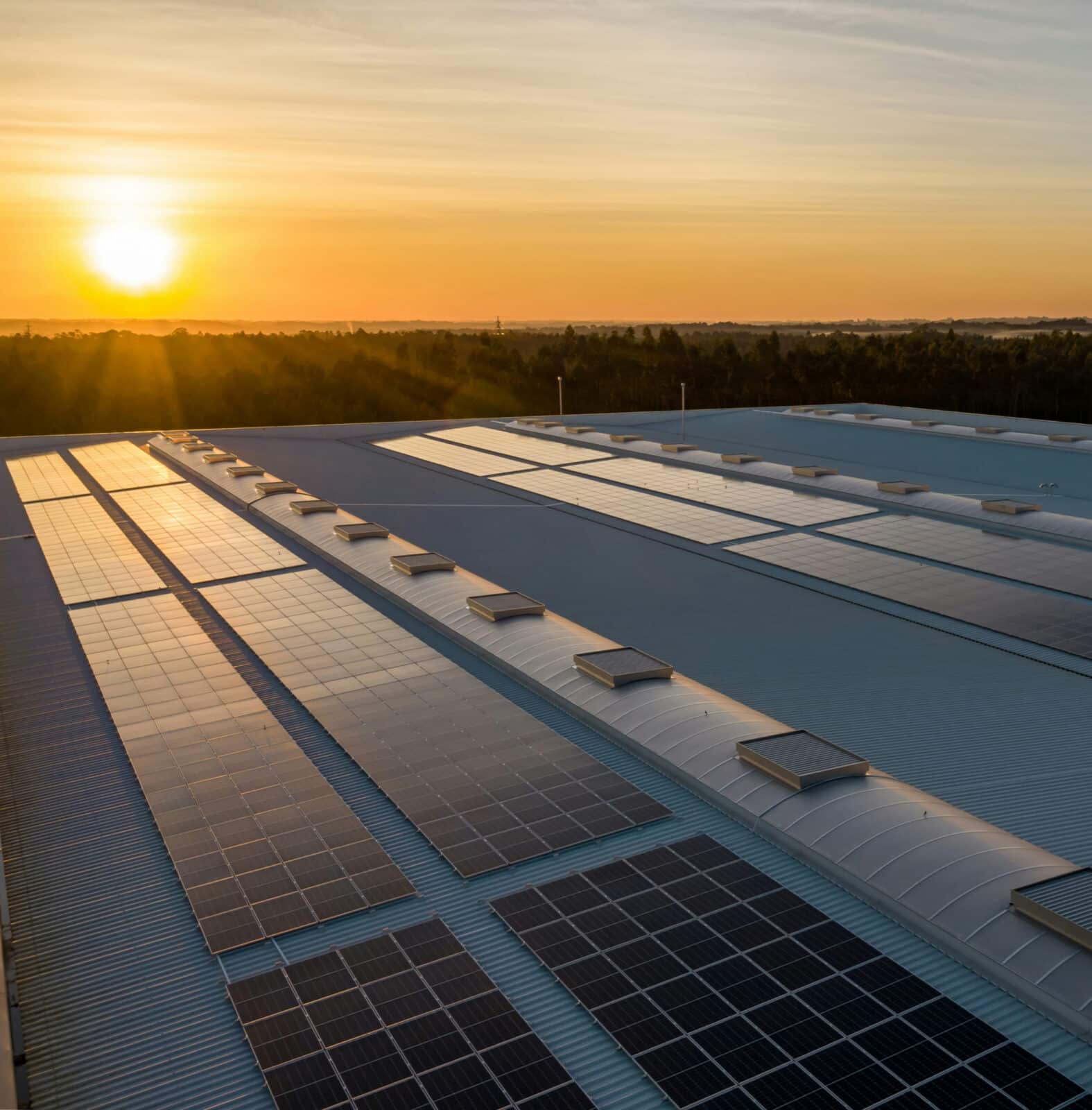 energia-solar-renovable-solfy